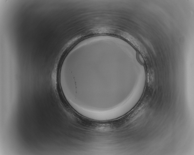 X0000101390438200807211016