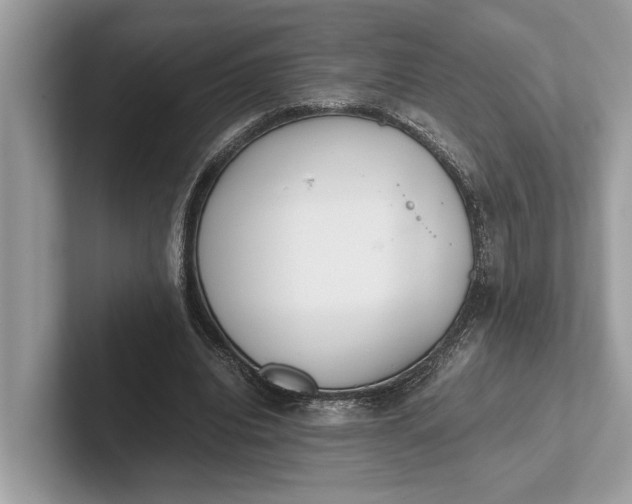 X0000101390440200807211016