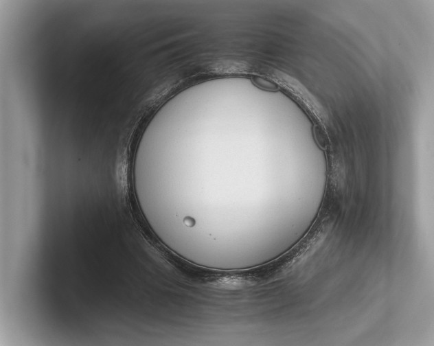 X0000101390441200807211016