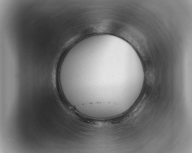 X0000101390442200807211016