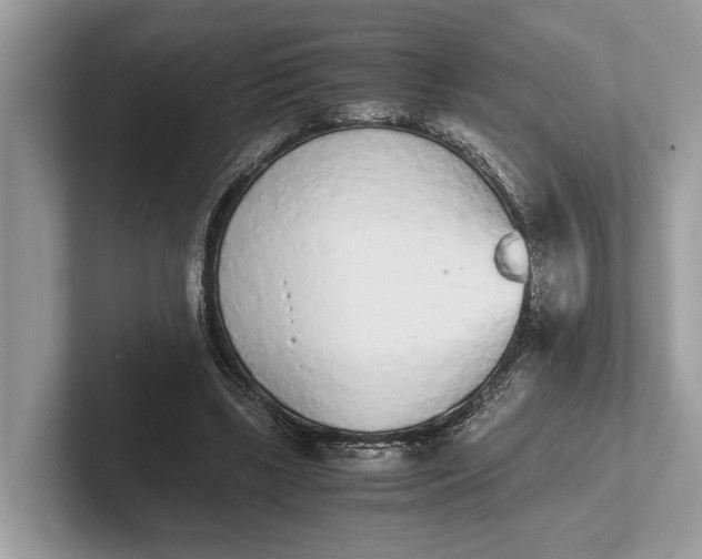 X0000101390443200807211016