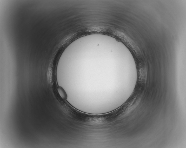 X0000101390444200807211016