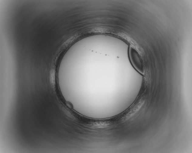 X0000101390445200807211016