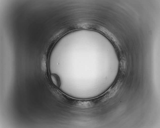 X0000101390446200807211016