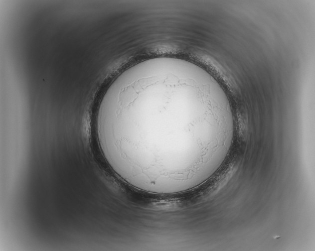 X0000101390447200807211016