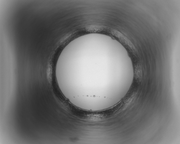 X0000101390448200807211016