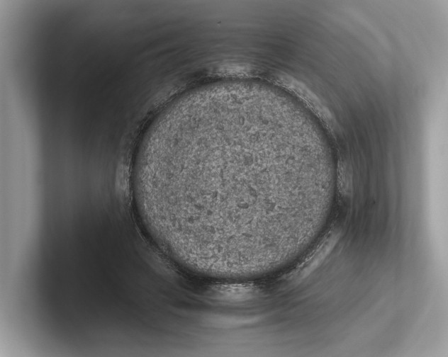 X0000101390449200807211016