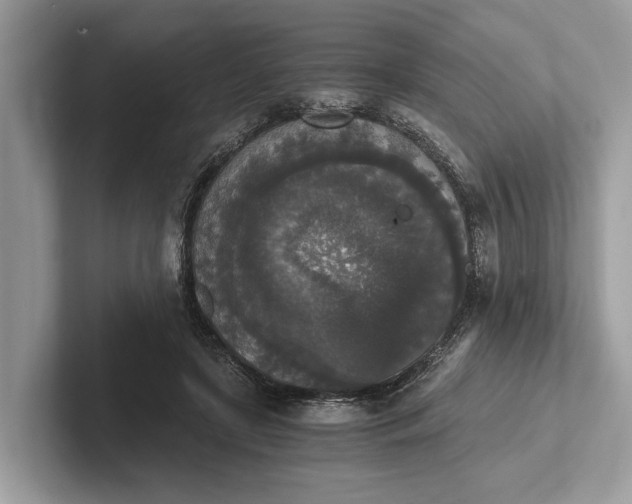 X0000101390451200807211016