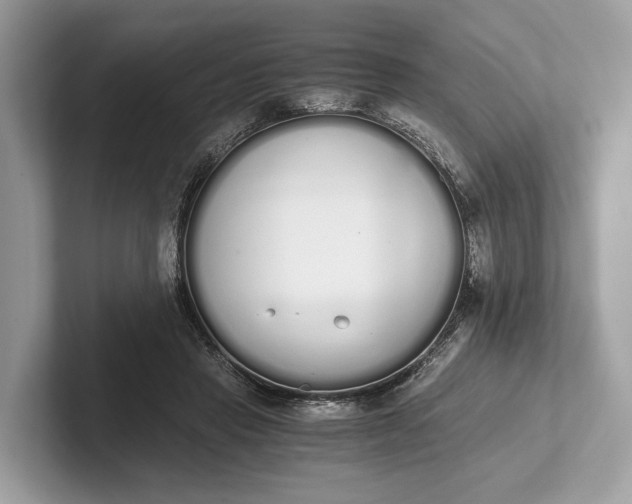 X0000101390453200807211016