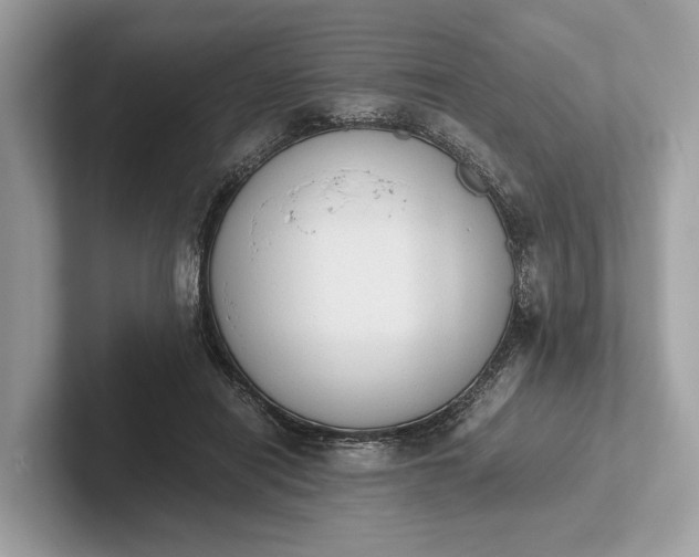 X0000101390454200807211016