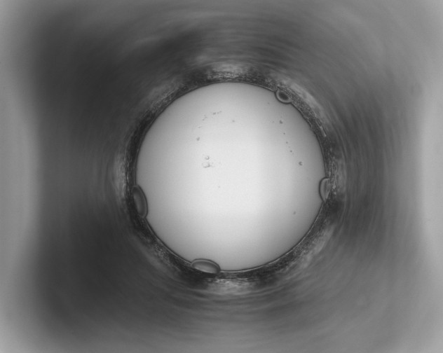 X0000101390455200807211016