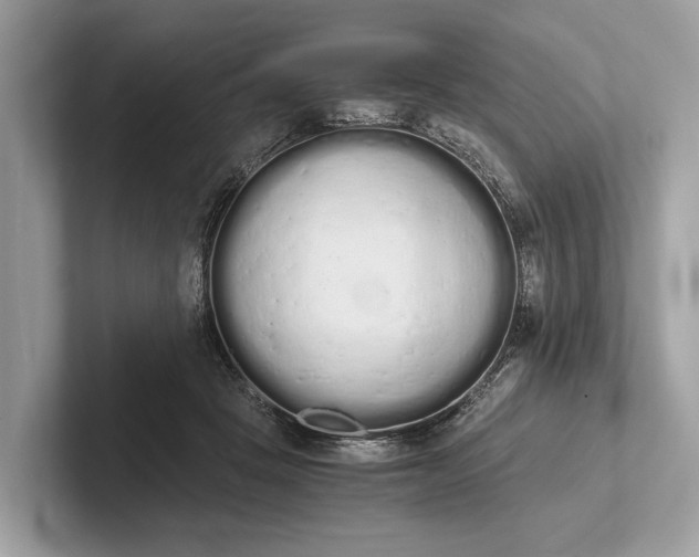 X0000101390457200807211016