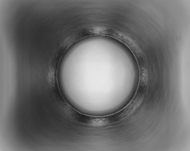 X0000101390461200807211016