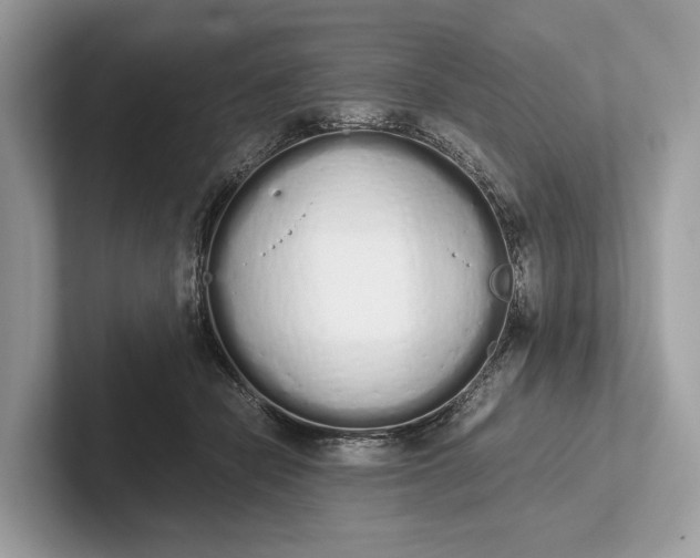 X0000101390462200807211016