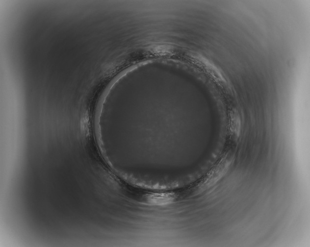 X0000101390465200807211016