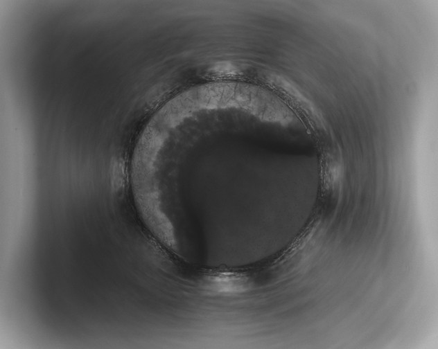 X0000101390467200807211016