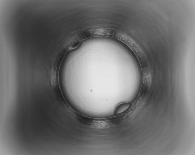 X0000101390469200807211016