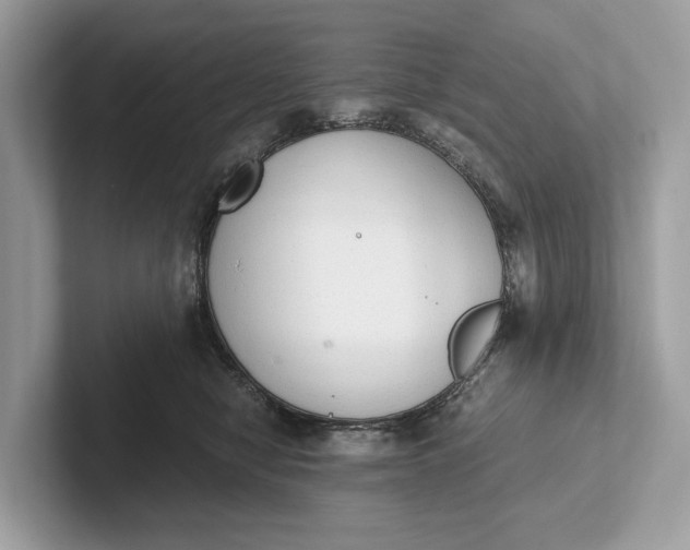 X0000101390470200807211016