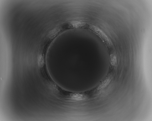 X0000101390471200807211016