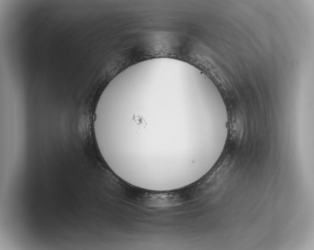 X0000101390473200807211017