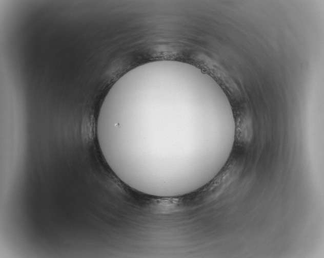 X0000101390474200807211017