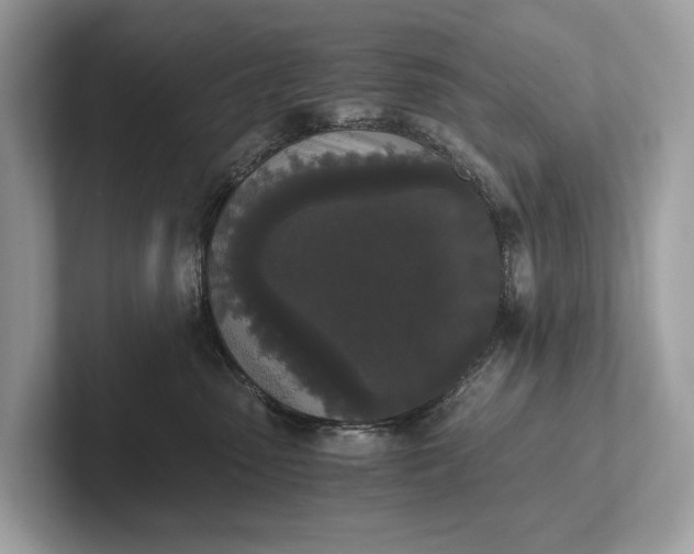 X0000101390475200807211017