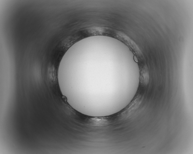 X0000101390477200807211017