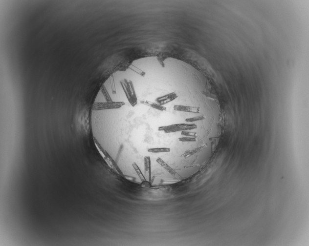 X0000101390479200807211017