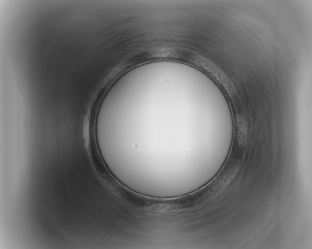 X0000101390482200807211016