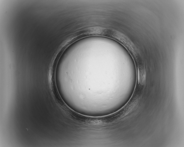 X0000101390483200807211016