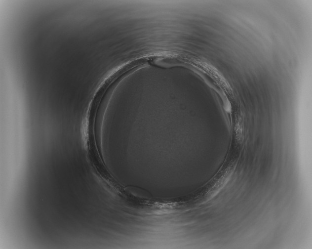 X0000101390484200807211016