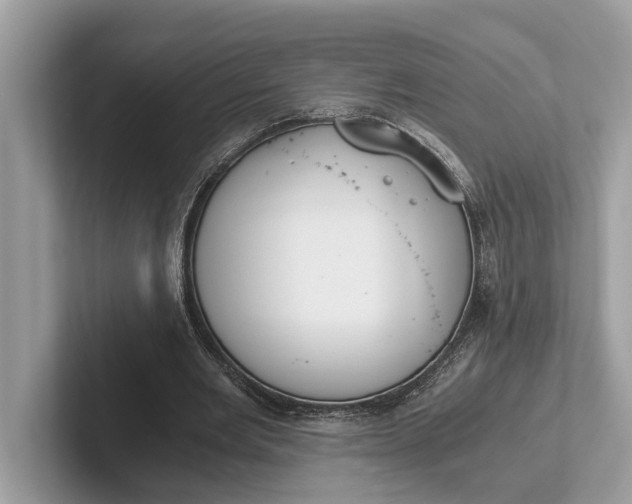 X0000101390485200807211016