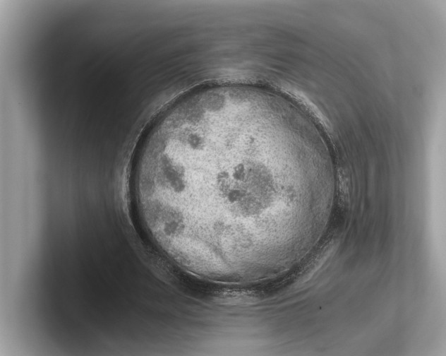 X0000101390487200807211016