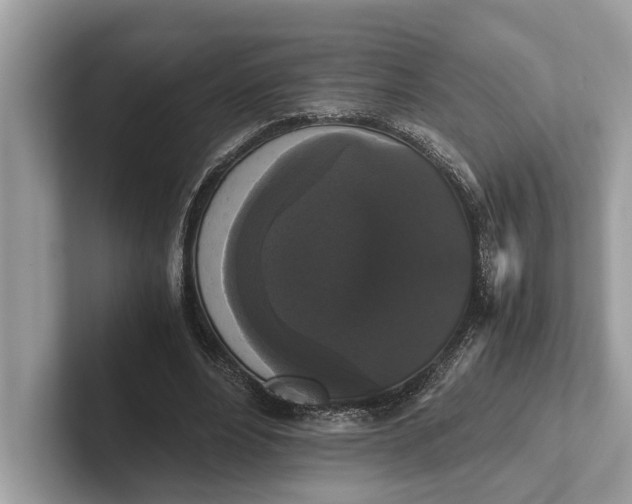 X0000101390488200807211016