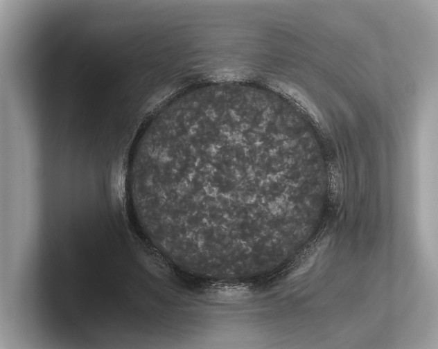 X0000101390491200807211016