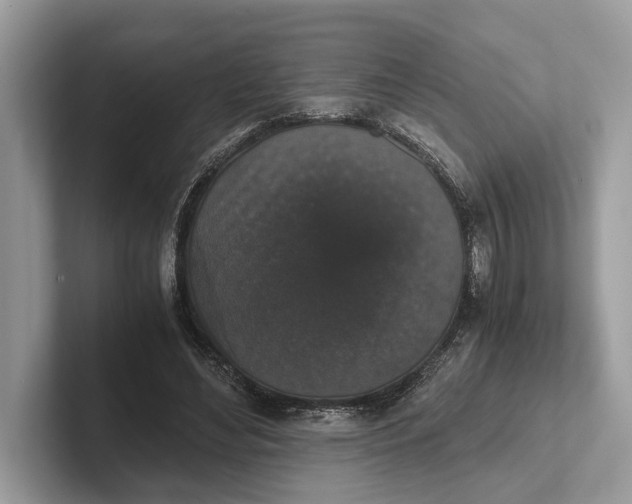 X0000101390492200807211016