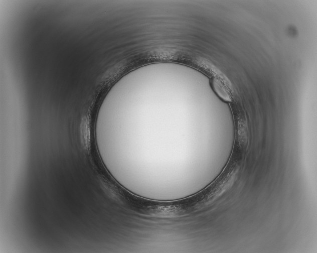 X0000101390493200807211016