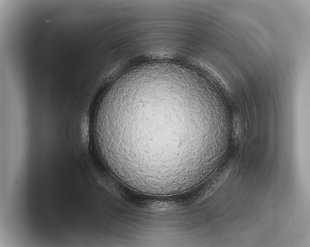 X0000101390494200807211016