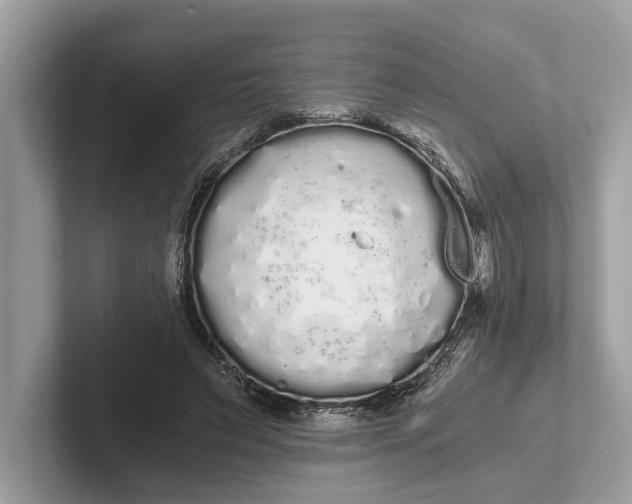 X0000101390495200807211016