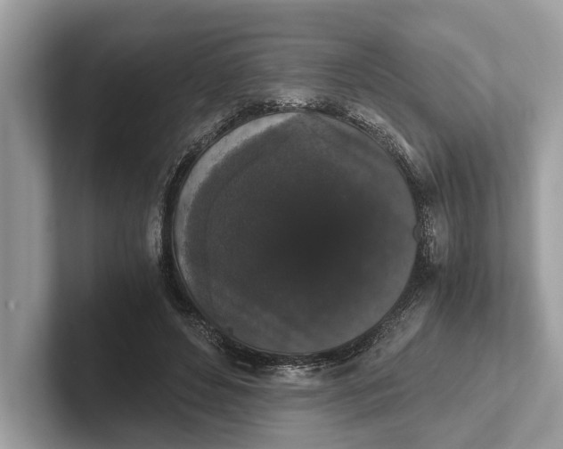 X0000101390496200807211016