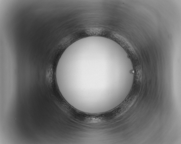 X0000101390498200807211016