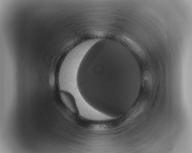 X0000101390500200807211016