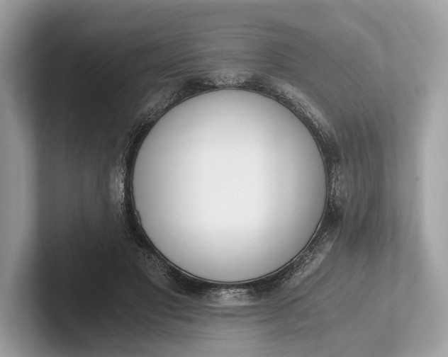 X0000101390501200807211016