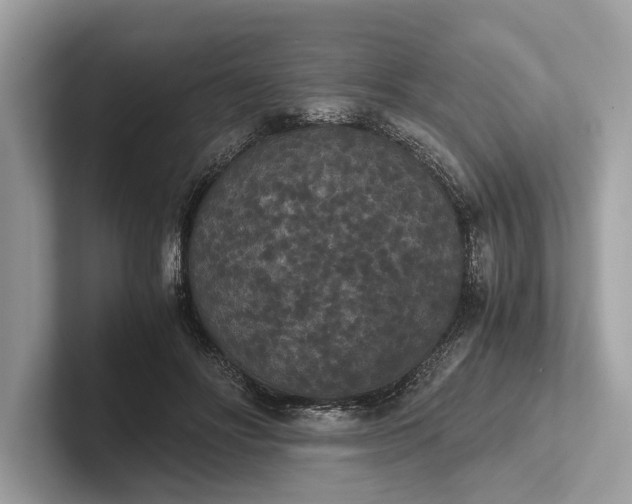 X0000101390502200807211016