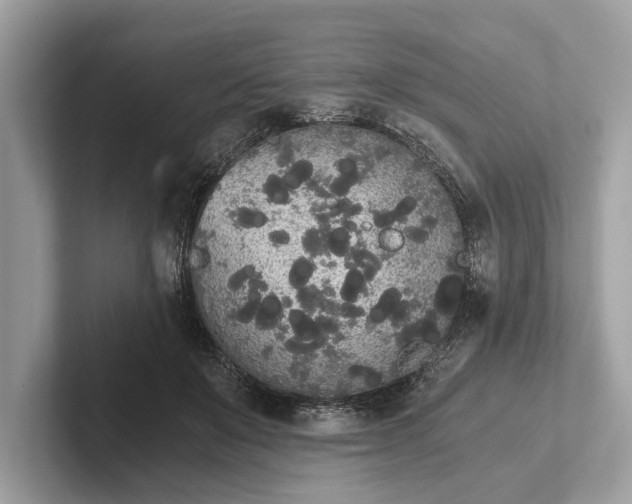 X0000101390503200807211016