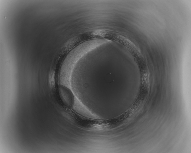 X0000101390504200807211016