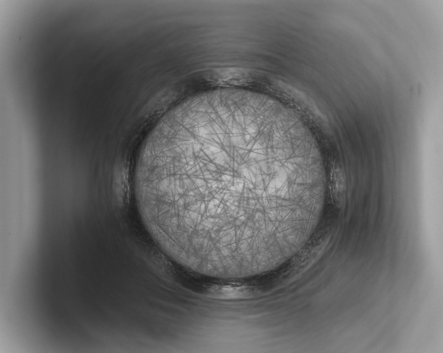 X0000101390506200807211016