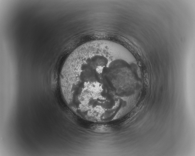 X0000101390507200807211016