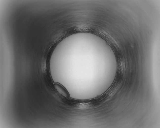 X0000101390508200807211016