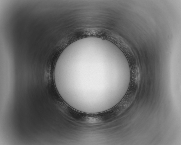 X0000101390510200807211016